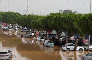 ayudas para afectados por la dana de valencia